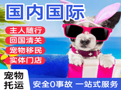 连云港航空快递国际宠物托运 【国